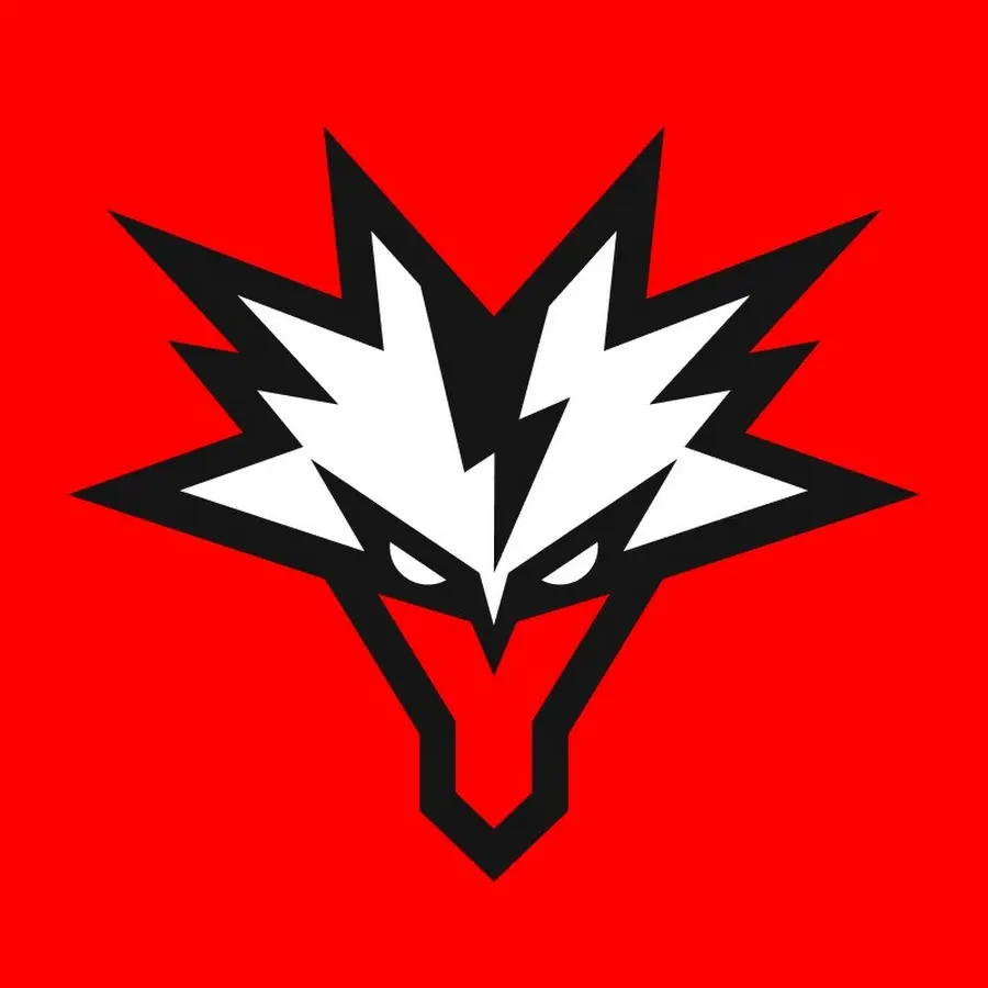 Логотип Team Yandex.