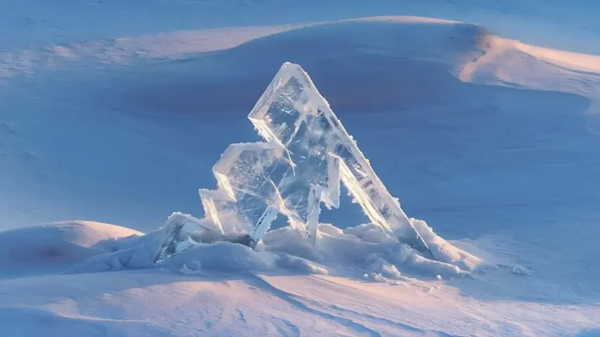 Логотив Arctic Ace Esports.