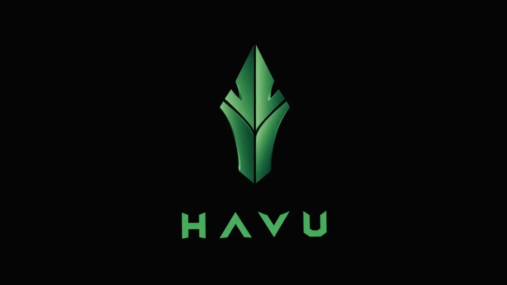 Логотип HAVU.