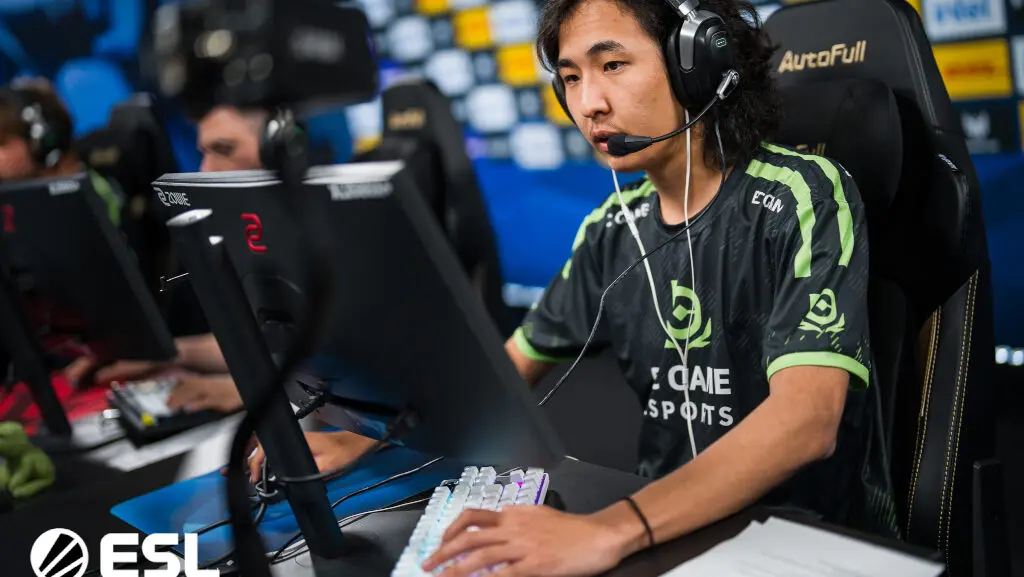 A photo of Senzu from the tournament