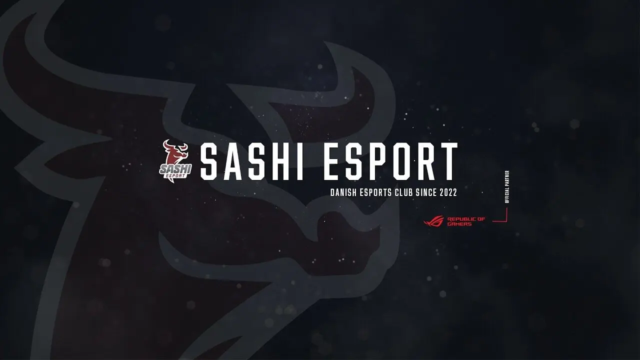 Логотип Sashi Esport с официального YouTube-канала клуба
